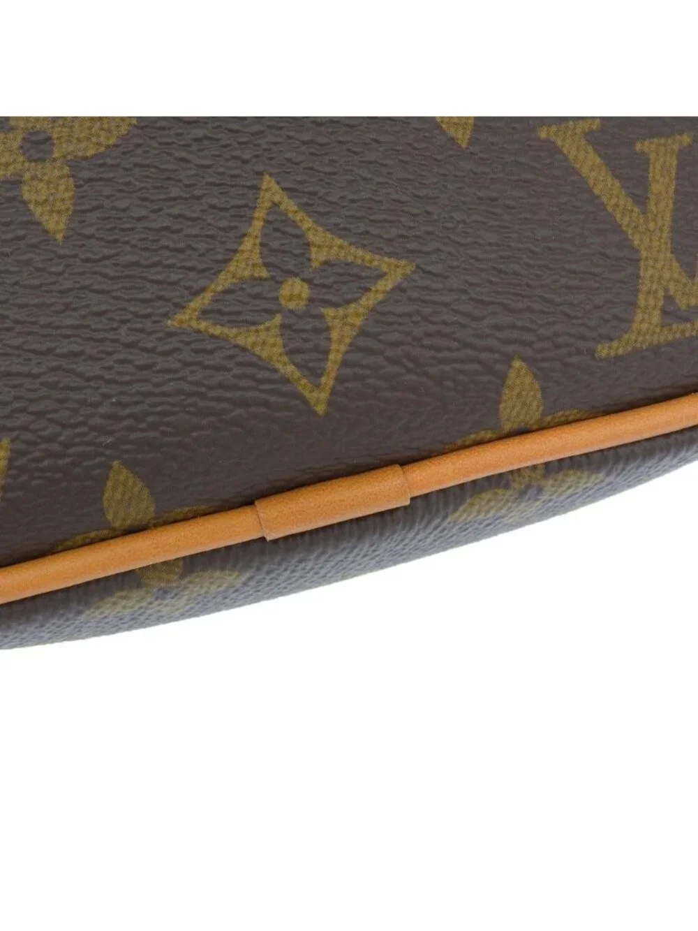 Louis Vuitton Monogram Danube Shoulder